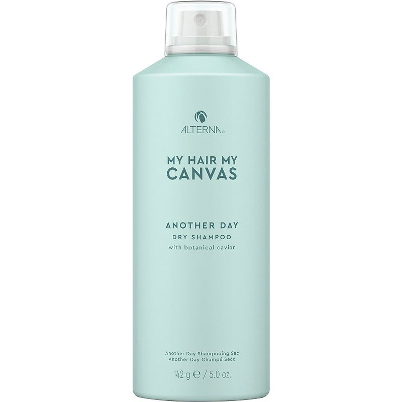 My Hair My Canvas: Another Day Dry Shampoo - reconnectbypb.com Dry Shampoo ALTERNA Professional