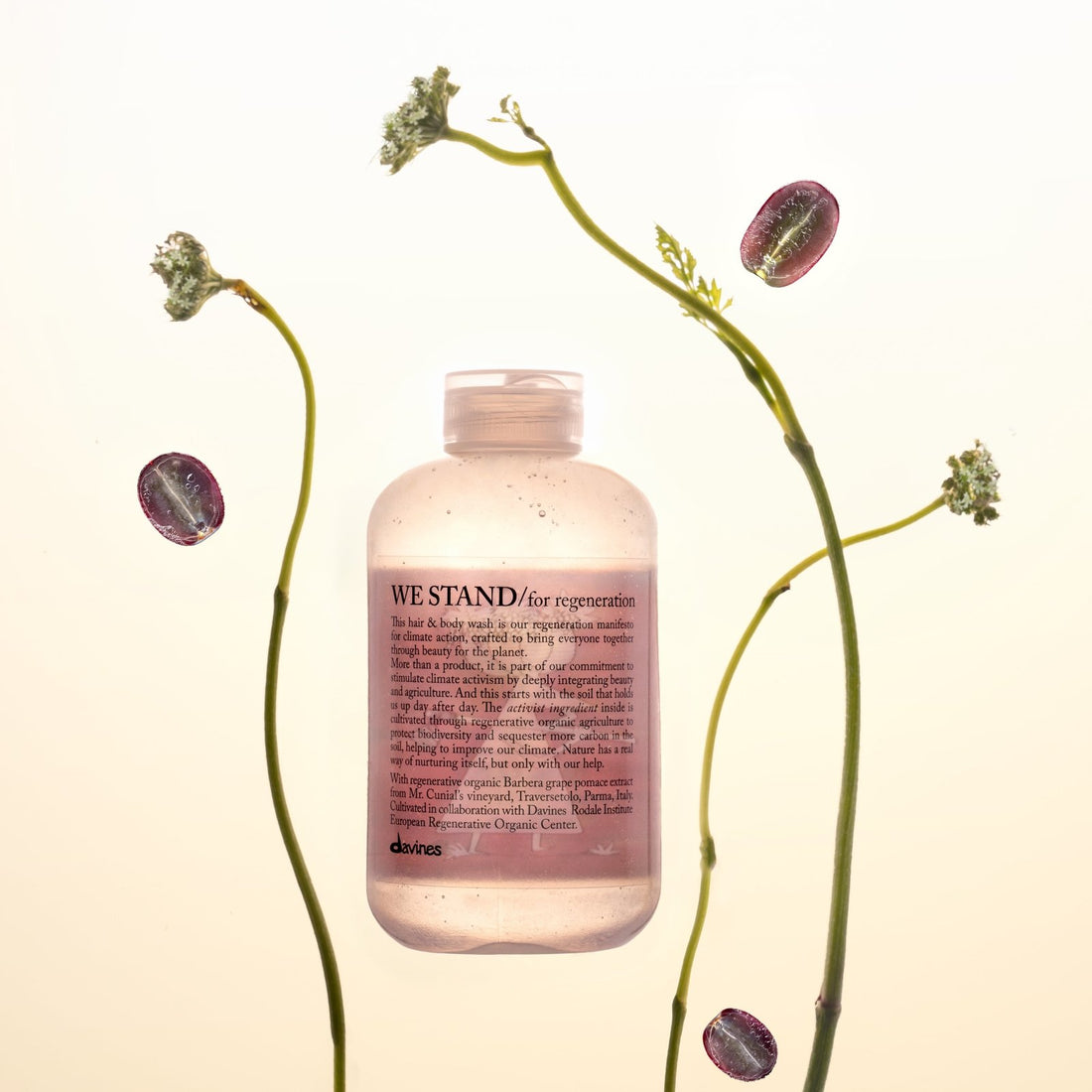 We Sustain Beauty - re:connect