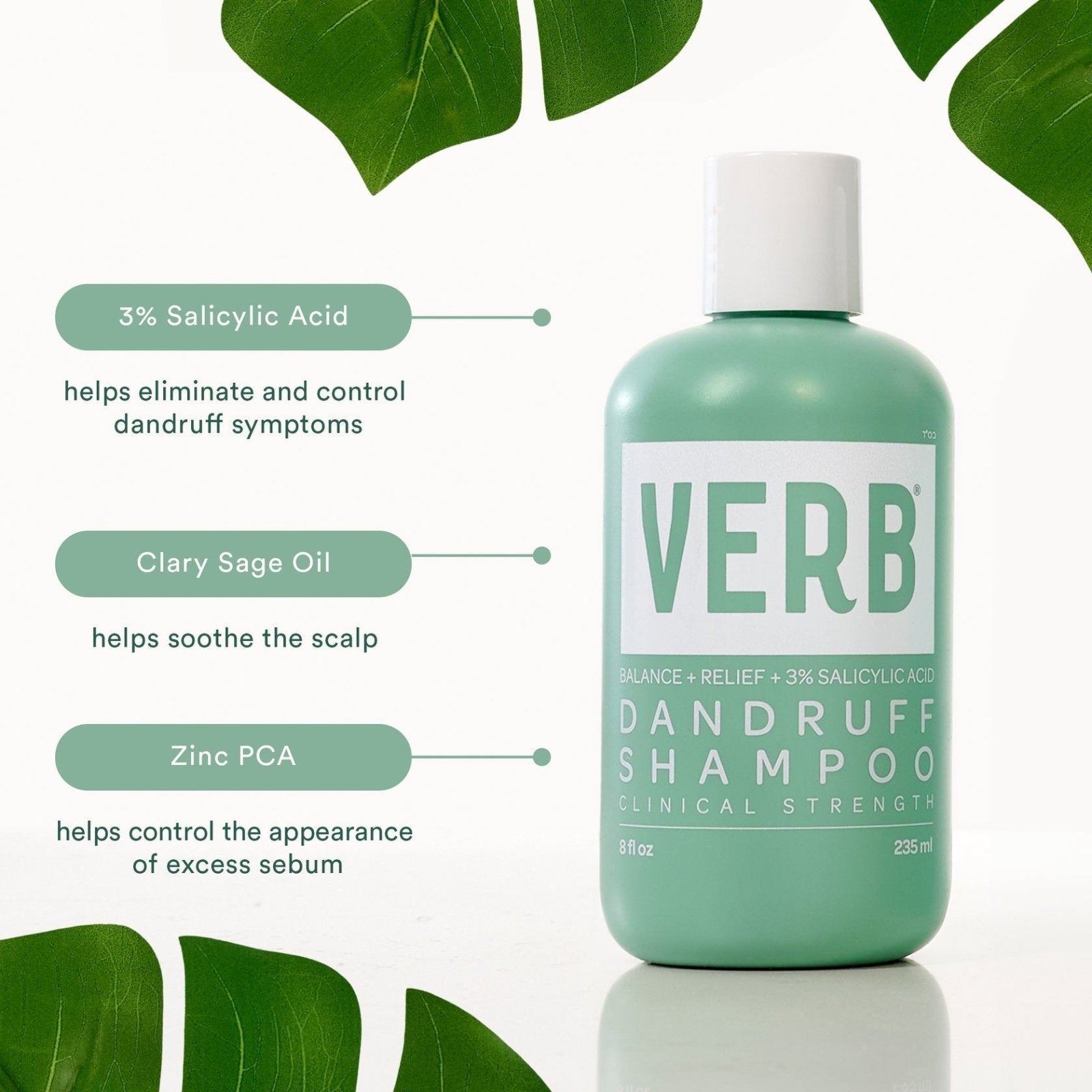 Dandruff Shampoo - reconnectbypb.com Shampoo Verb